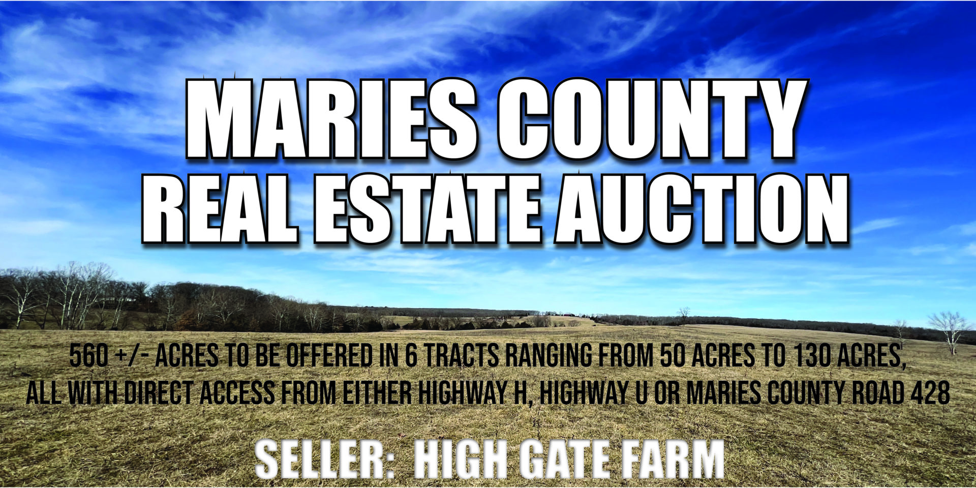 Maries County Real Estate Auction